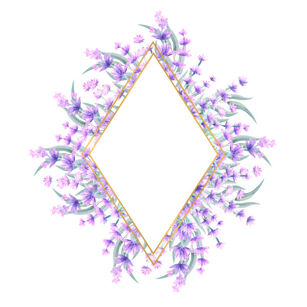 薰衣草花镶在钻石形的金框里。手绘水彩插图。用于请柬、贺卡、印刷品、海报、广告图片下载