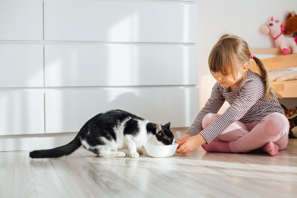 小女孩用牛奶喂猫。图片下载