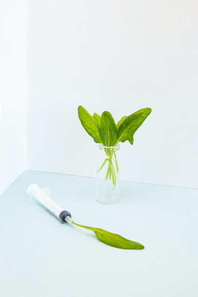 创意的最小健康营养概念。菠菜叶装在药瓶里，菠菜叶装在注射器里。2019冠状病毒病大流行期间的健康饮食和接种疫苗。图片下载