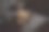 一只黄色的公猫在睡觉图片下载