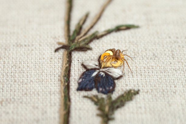 高级定制蜘蛛花刺绣。丢勒的静物画，有耧斗菜、紫罗兰和玫瑰图片下载