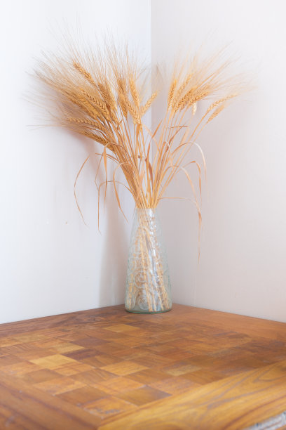 一束干小麦图片下载