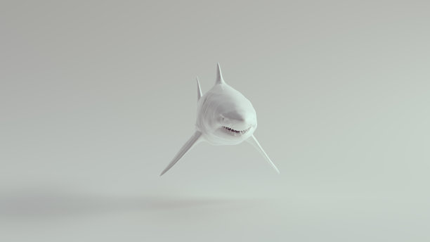 大白鲨纯白图片下载