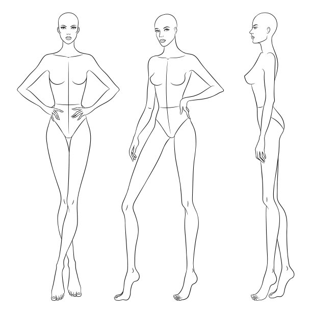 美丽苗条的女人在不同的姿势，矢量插图。九头时尚人物模板。女性身体，正面，侧面和背面的观点。图片下载