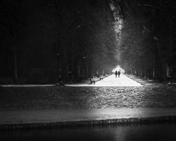 在公园里散步图片下载