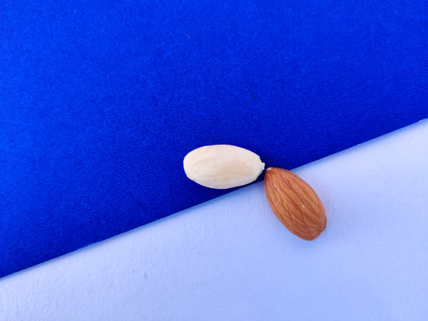 去皮和未去皮的杏仁分离在蓝色和白色的背景。图片下载