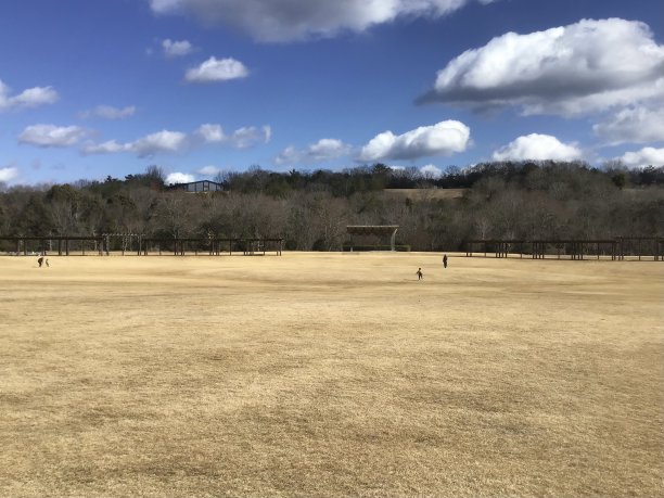冬天的一天，公园的草坪广场图片下载