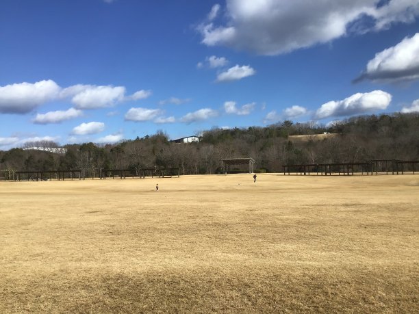 冬天的一天，公园的草坪广场图片下载