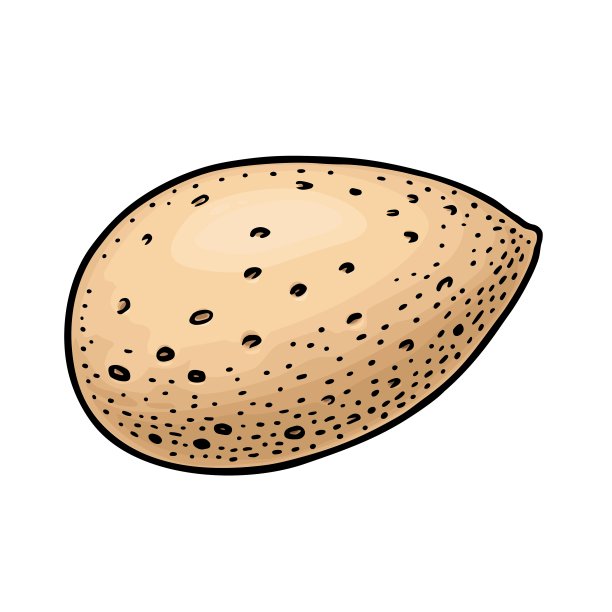 特写杏仁壳。矢量雕刻颜色复古插图。图片下载