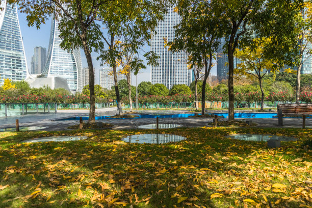 美丽的公园在一个阳光明媚的日子，中国上海图片下载