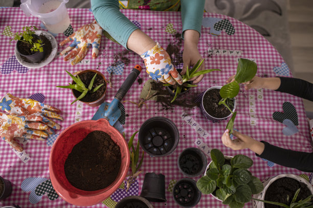 爱好在家种植图片下载