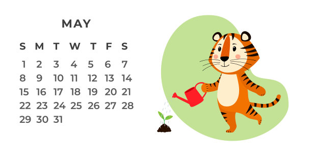 2022年虎年的台历设计模板。矢量股票平面插图。图片下载