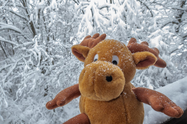 阳台上的Moos娃娃和雪地里的树图片下载