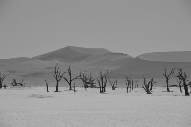 《黑与白》中的死尸图片下载