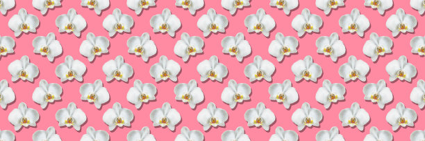 粉红色背景上的花横幅图片下载