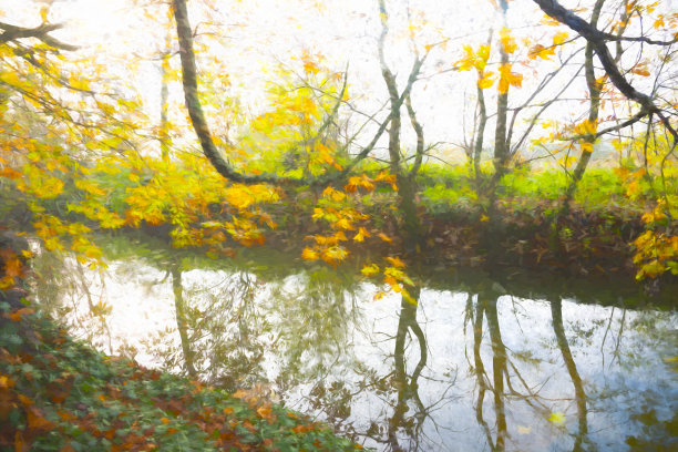 树枝在冬天越过一条小溪图片下载