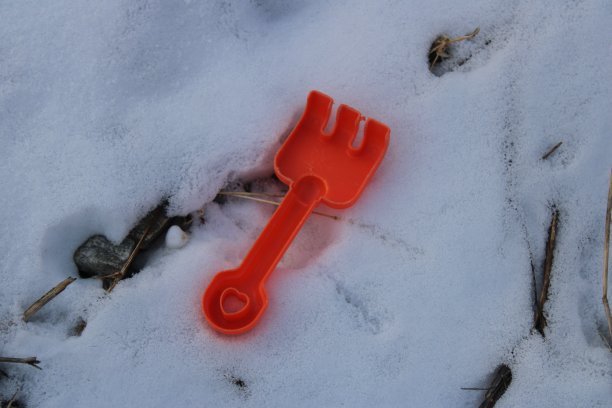 橙色的玩具耙图片下载