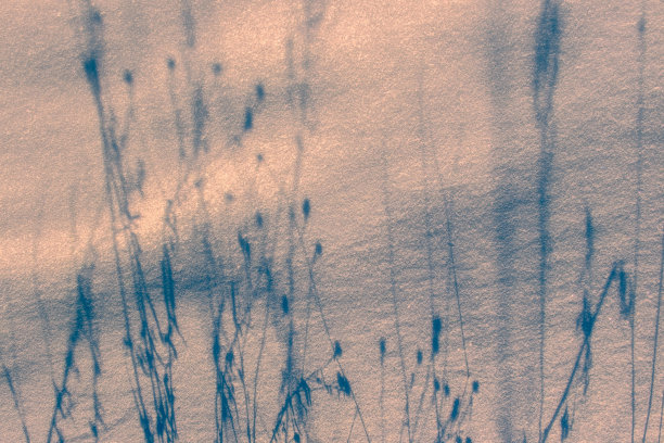 雪中的阴影和图案图片下载