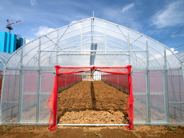 农业温室图片下载