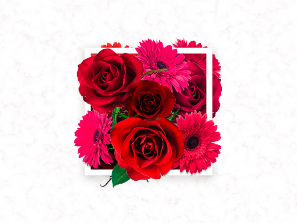 创意花束由玫瑰和gerbers与白色框架上的大理石背景，鲜花背景，情人节快乐，母亲节，平躺，俯视图图片下载