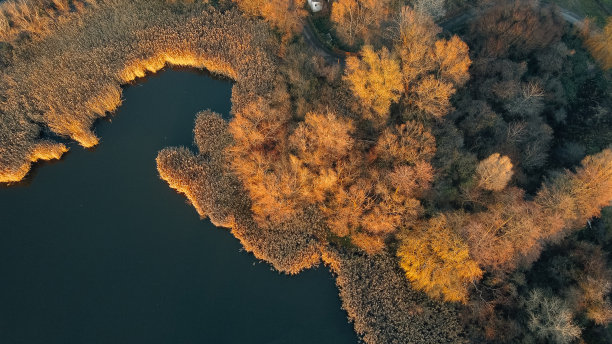 日落时的沼泽，湖泊和森林，航拍图片。图片下载