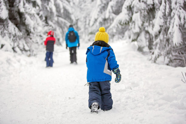 甜蜜快乐的孩子们，兄弟们，在深雪的森林里，在结霜的树上玩耍图片下载