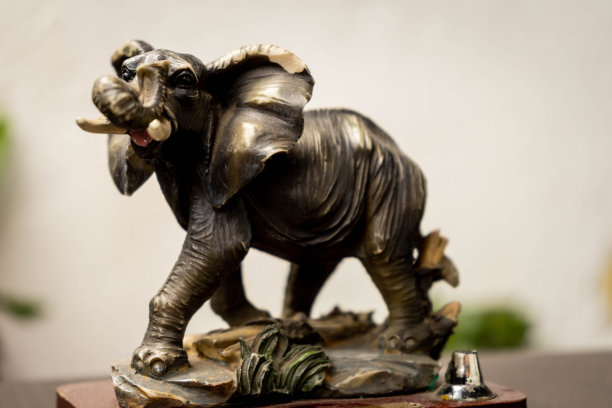 灰色大象的照片图片下载