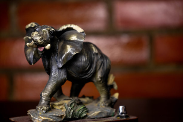 灰色大象的照片图片下载