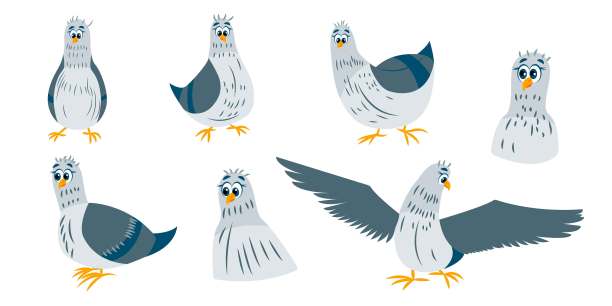收集鸽子鸟。绿灰色的鸽子坐着呆着。传播的翅膀。扁平的卡通人物设计。可爱和有趣。孤立在白色的。为孩子贴纸，明信片和海报的模板图片下载