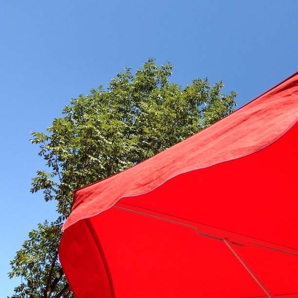 红色的阳伞图片下载