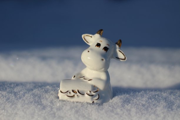 公牛小雕像象征着农历2021年。有角的白奶牛抱着装满财富和健康的盒子在白色毛茸茸的雪图片下载