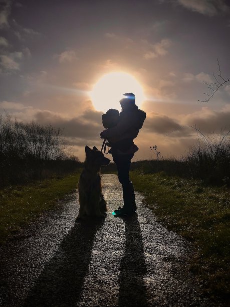 母亲带着孩子和狗图片下载
