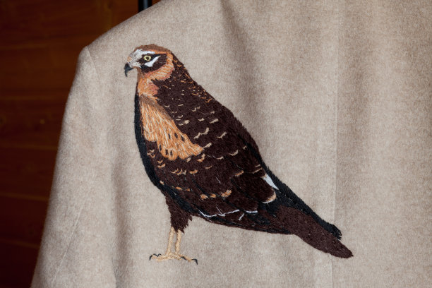 时装刺绣的鸟。静物特写图片下载