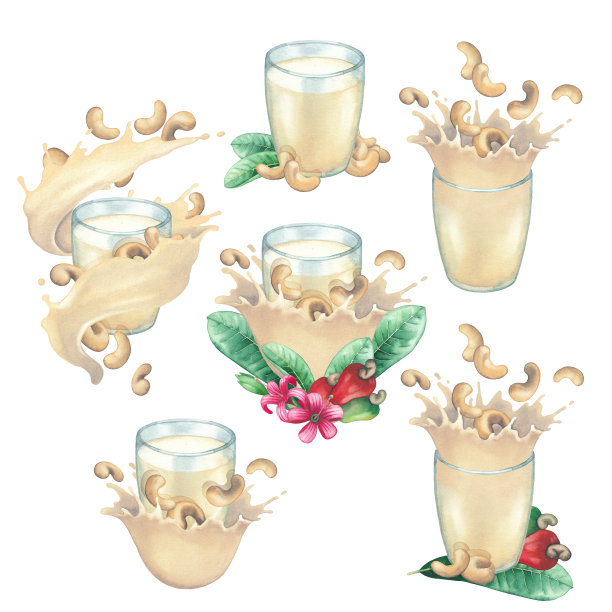 水彩收集的植物牛奶在玻璃装饰与ceshew坚果，水果，树叶和花。图片下载