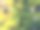 苔藓覆盖的干燥石堤背景图片下载