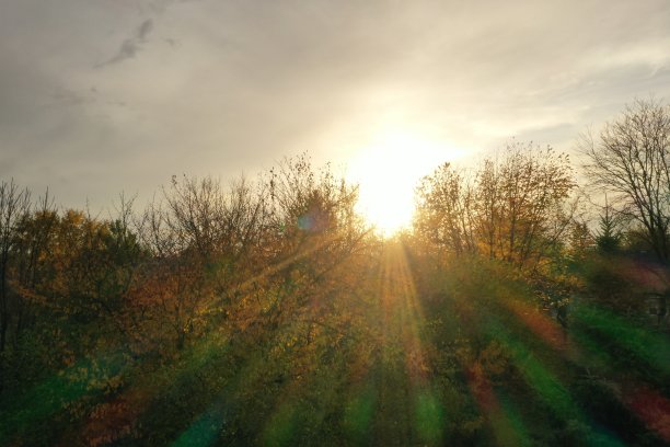 太阳透过秋天的树木图片下载