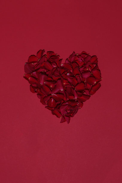 浪漫的心红色玫瑰花瓣在红色的背景为情人节图片下载