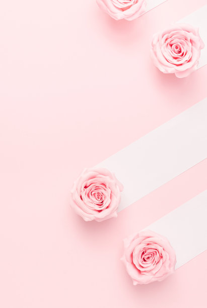 粉彩背景与玫瑰花和白色线。最小的浪漫的安排。图片下载
