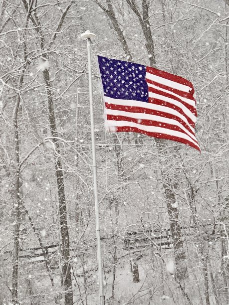 就职典礼上的骄傲飞行图片下载