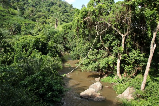 美丽的热带景观和奇妙的自然close Okpahoué在西非多哥。图片下载