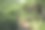 美丽的热带景观和奇妙的自然close Okpahoué在西非多哥。图片下载