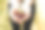 手里拿着红甜樱桃的女人。在樱桃园采摘水果图片下载
