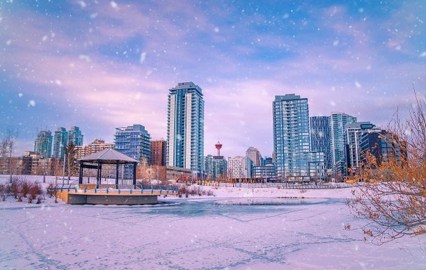 卡尔加里市中心公园的降雪图片下载