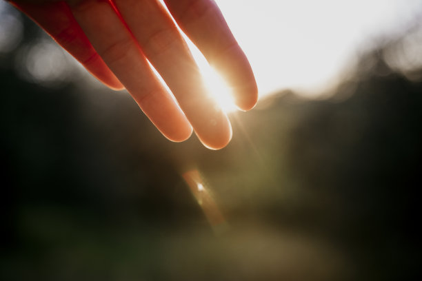 阳光的手图片下载