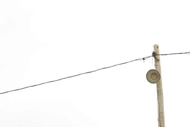 白色背景上的巴西松果图片下载