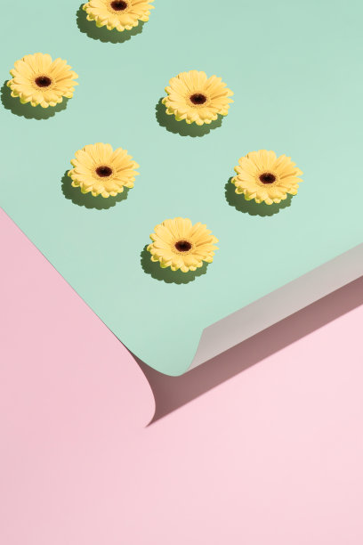 以黄色的雏菊花为背景，以薄荷绿和淡粉色为背景。图片下载
