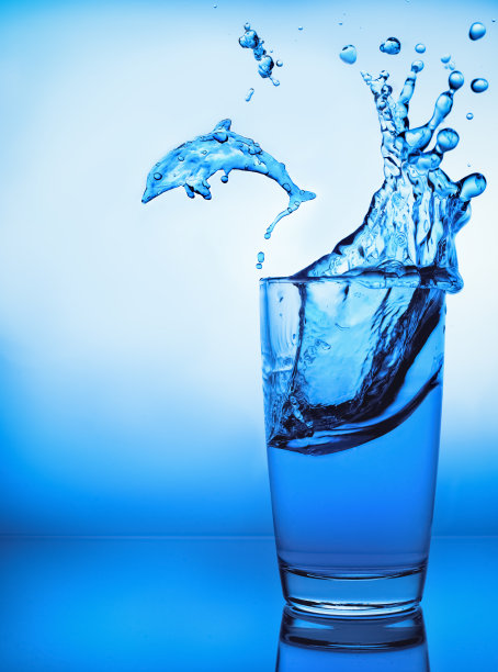 一杯水。飞溅的水。海豚跳出水面图片下载