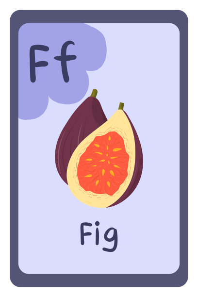 字母教育闪存卡，字母F - fig图片下载