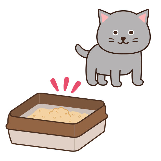 灰猫看到卫生猫砂盒就放心了。图片下载