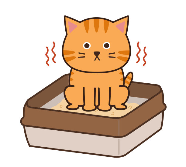 虎斑猫在做他的事。图片下载